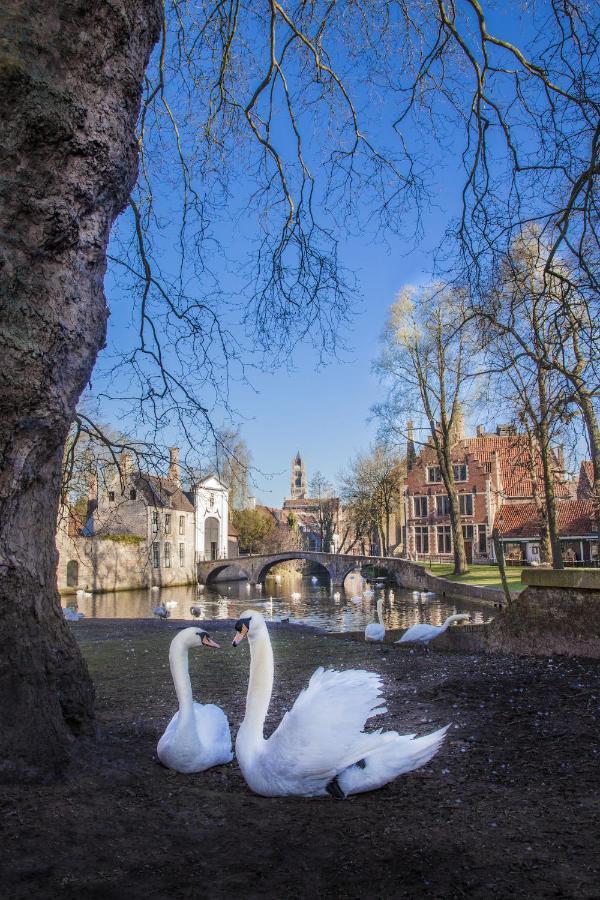 Gastenkamers Ten Huyze Marchandise Bruges Luaran gambar